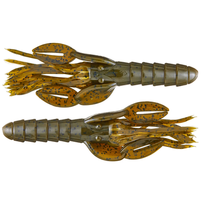 KJ Craw