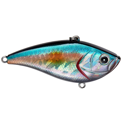 Shaker Z Lipless Crankbait